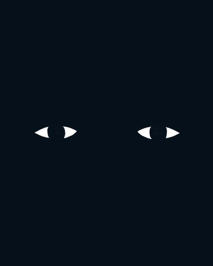 Gabriel Jesus eyes in the dark